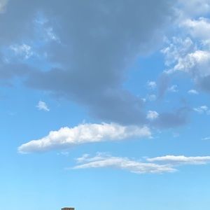 Meet your Posher, Koreena